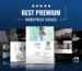 best-premium-themes-blog-post-1